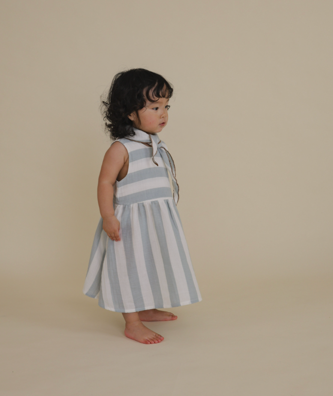 Sardine Stripes Sleeveless Dress
