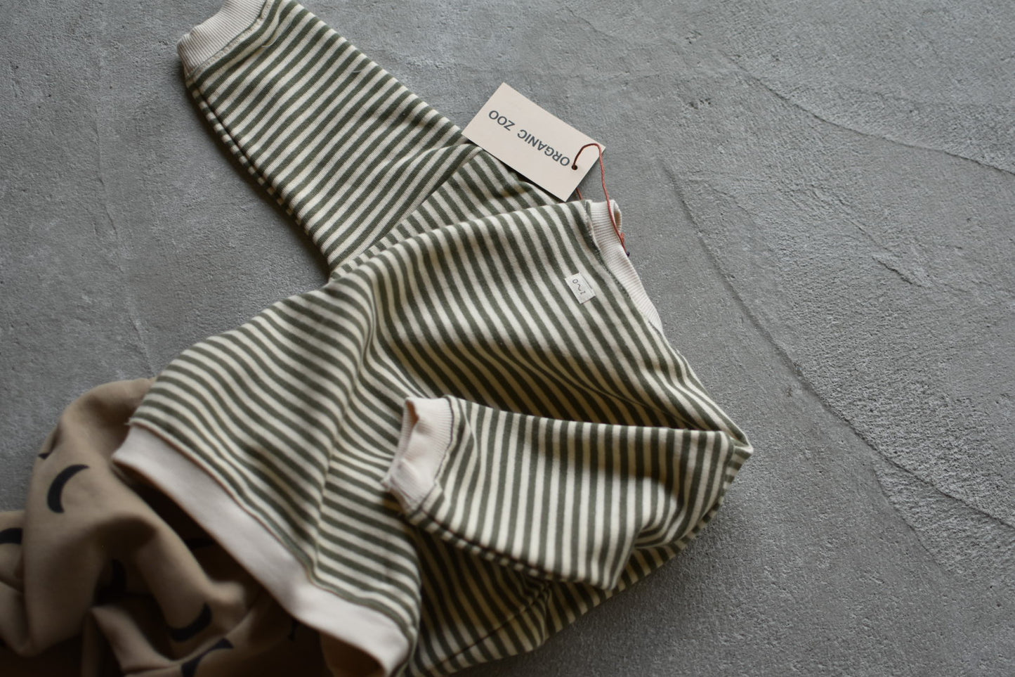 Fern Stripes Sweatshirt