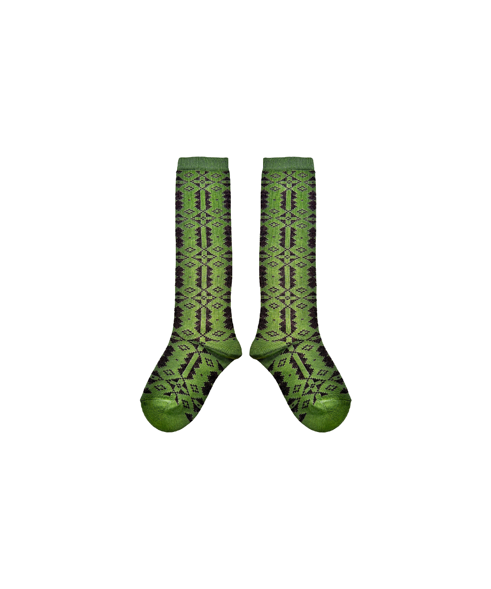 ERYRI LONG SOCKS_MONSTERA / UMBER(Last.1)