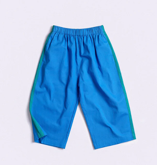 Harry Pant in Blue