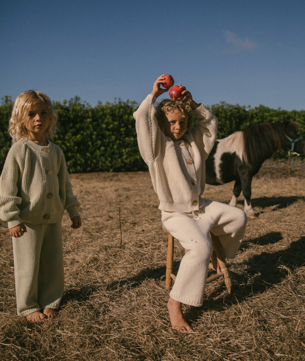 Knit cardigan_Light olive