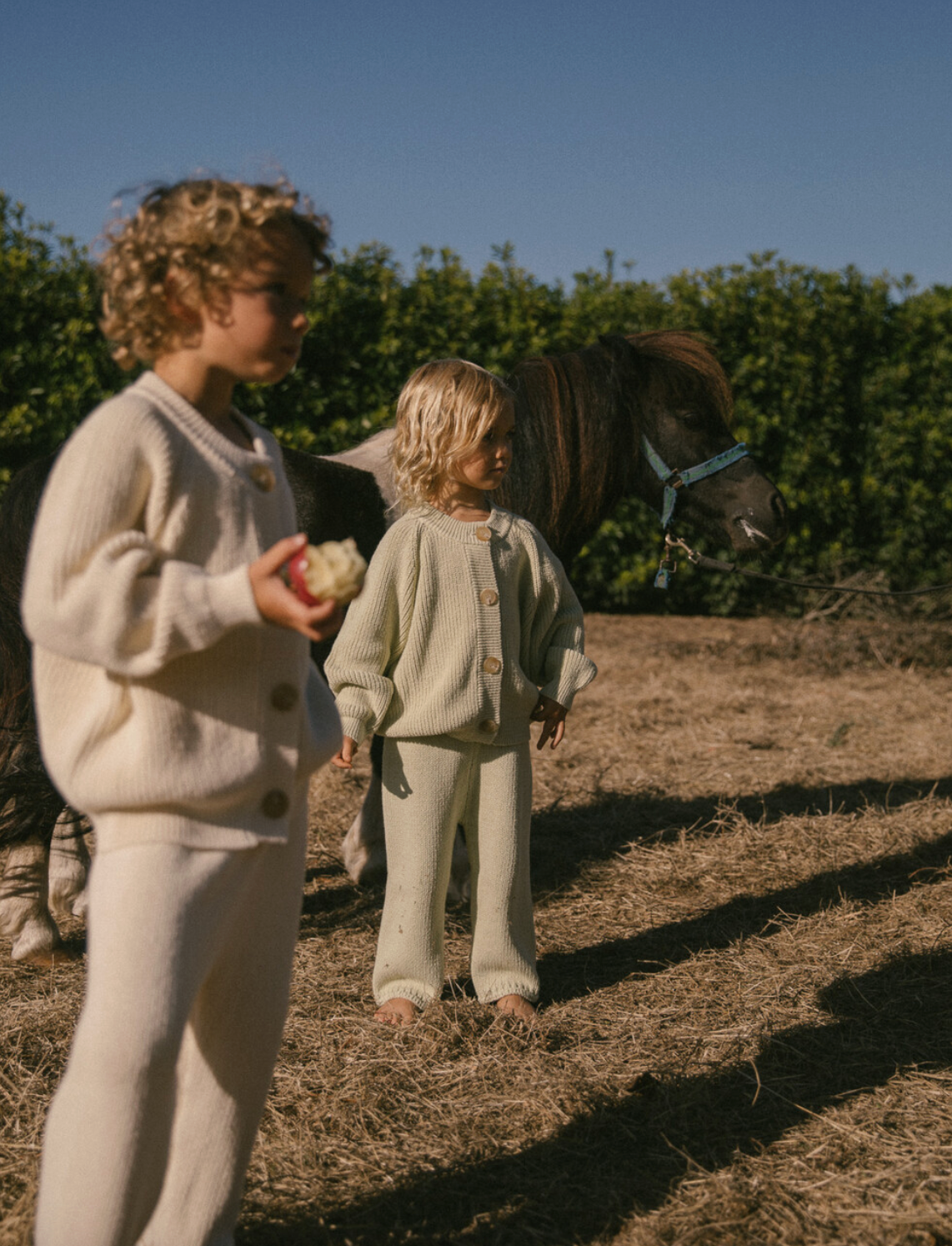 Knit cardigan_Light olive