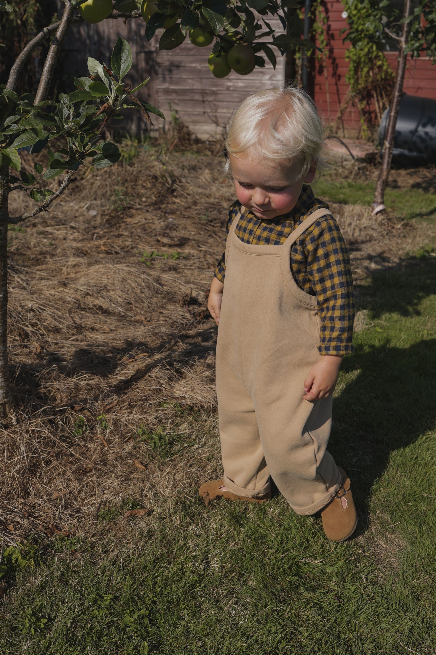 Biscuit Dungarees