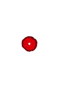 [ LAST. 1 ] Chouchou scrunchie Red